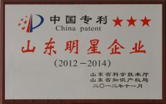 山東明星企業